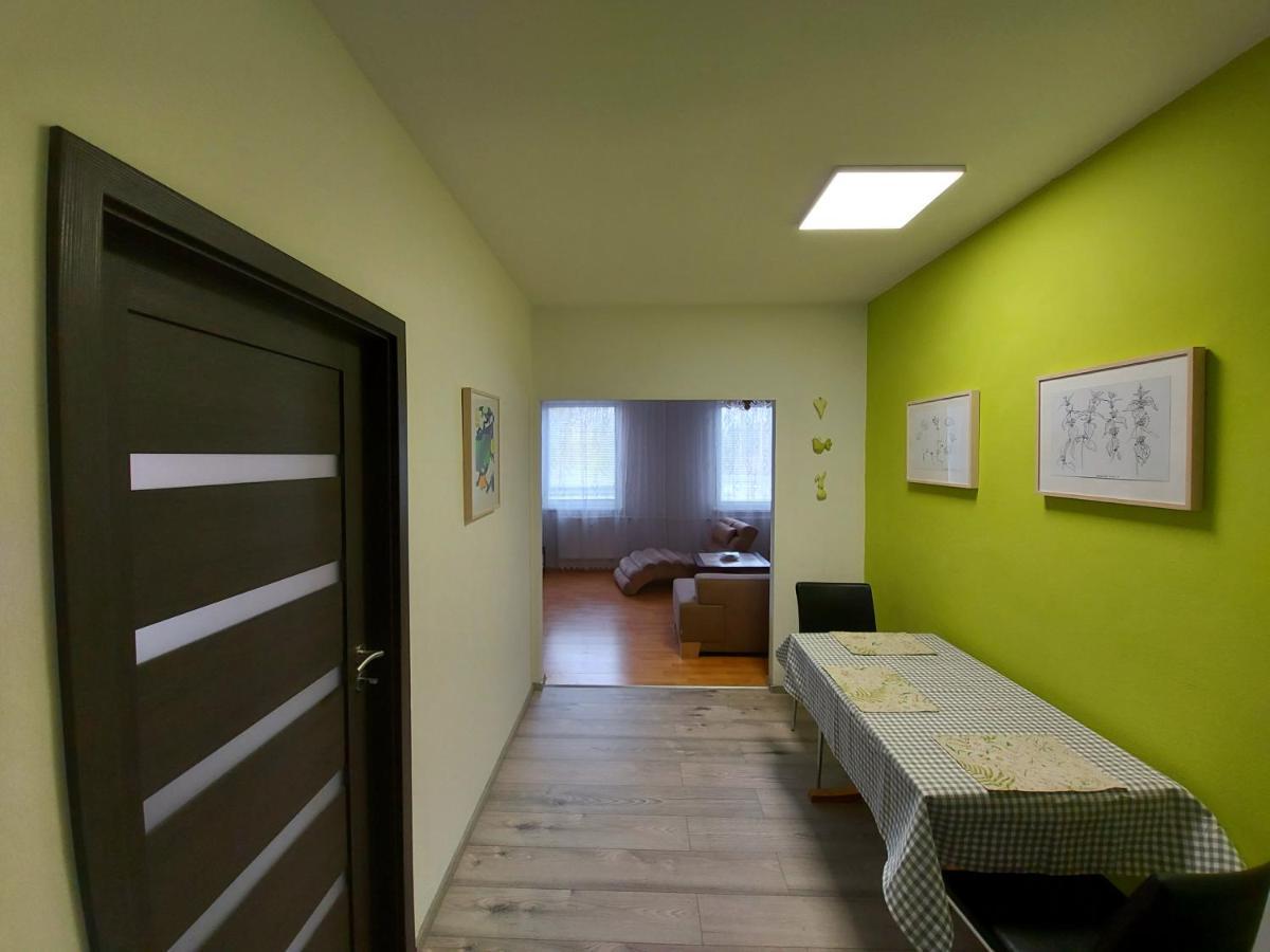 Apartman Eva - Plne Vybaveny Byt - Týn nad Vltavou 外观 照片